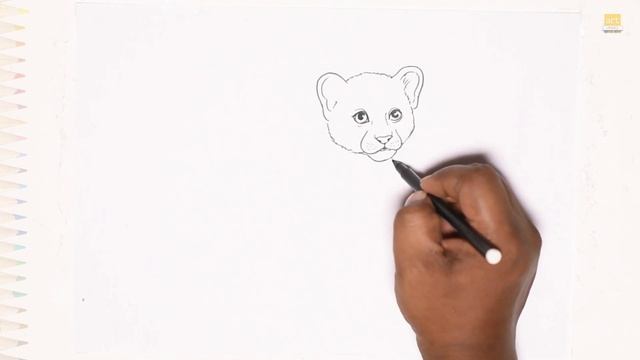 Cute baby Cheetah drawing | Cute drawings | How to draw baby Cheetah step by step | Cheetah drawing смотреть онлайн