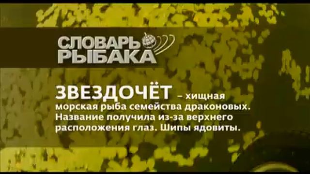 ЕЩЕ ОДНО ВИДЕО ПРО РЫБАЛКУ смотреть онлайн