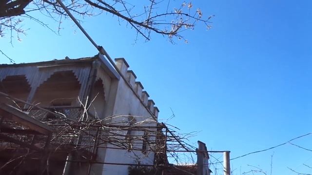 Защита абрикоса от заморозков бочкой с водой. смотреть онлайн