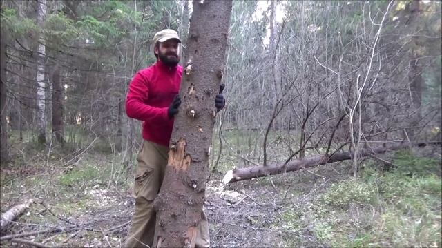 Таёжный костёр нодья. смотреть онлайн