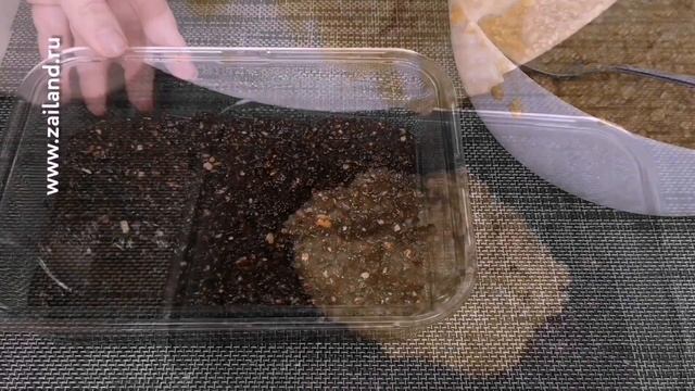 Десерт БЕЗ ВЫПЕЧКИ за 15 минут. Вы забудете о покупных конфетах смотреть онлайн