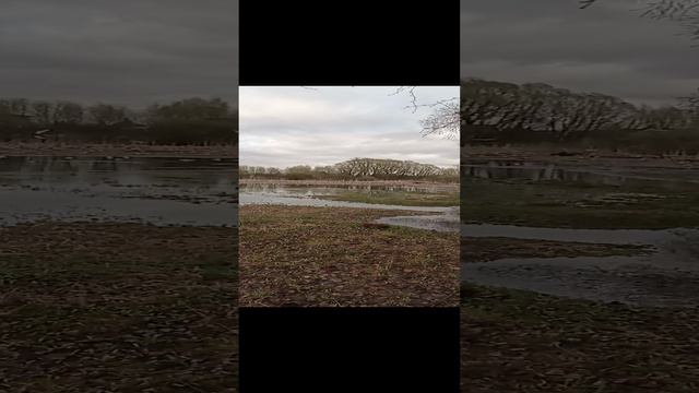 Вот такие вот звуки природы. смотреть онлайн