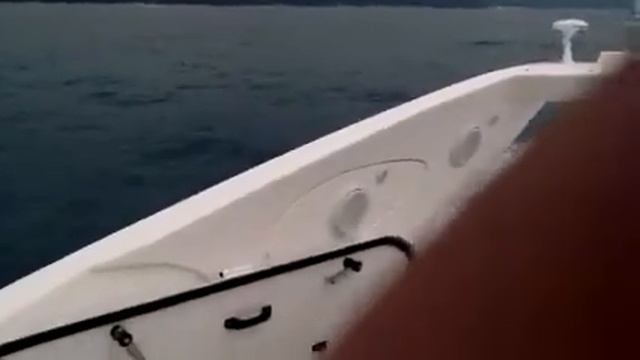 Сочи Краснодар смотреть онлайн