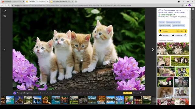 Скриншот фрагмента экрана. Как сделать скрин части экрана в windows 10? смотреть онлайн