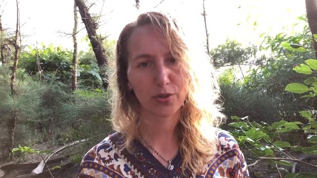 Настройка на медитацию. Ответ на вопрос смотреть онлайн