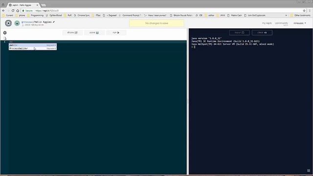 OECS195 Repl.it Setup смотреть онлайн