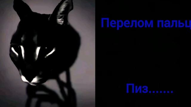 Шлёпа оценивает боли: смотреть онлайн