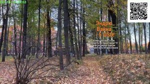 Шагаю по Москве в районе Тимирязевской академии