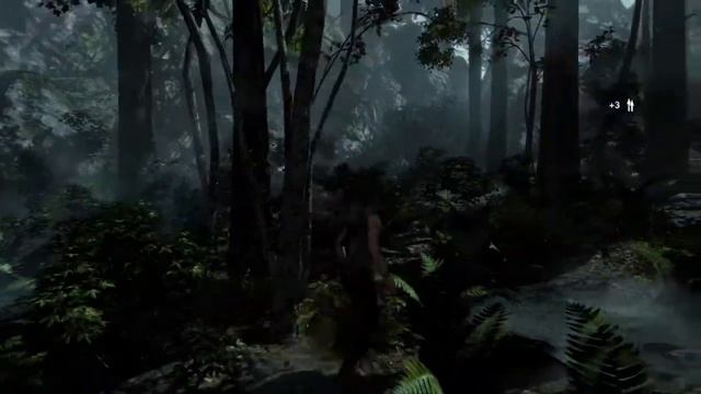 [PS4] Tomb Raider. Definitive Edition | Прохождение №1 (на высоком уровне сложности)