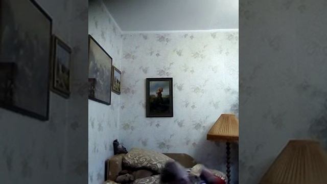 Трюки на кровате
