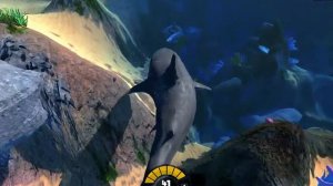 Мегалодон|Feed and Grow Fish