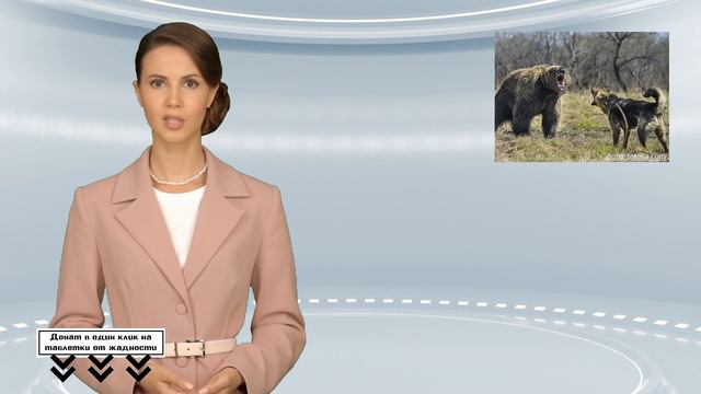 Охотничий туризм в Беларуси интересует россиян смотреть онлайн