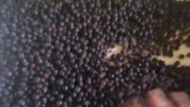 Рецепты из детства