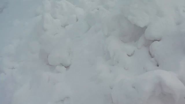 Переднее сальто | Сибирь | Приколы | Фрост | тест драйв | смотреть онлайн