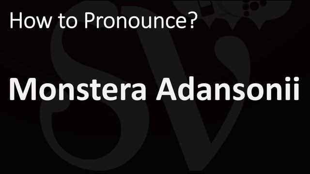 How to Pronounce Monstera Adansonii? (CORRECTLY) смотреть онлайн