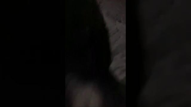 Кувырки В Снег