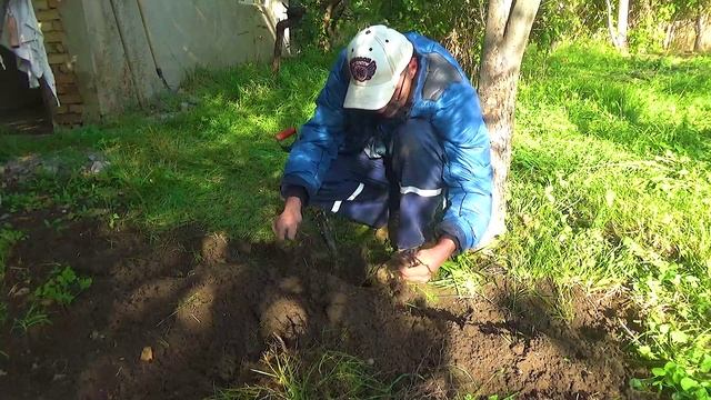 16 В земле синий сапфир (1).mp4 смотреть онлайн