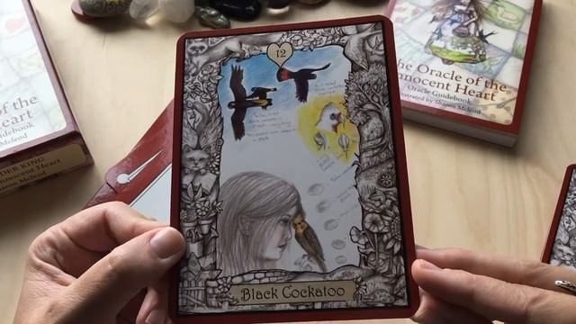 The Oracle of The Innocent Heart Unboxing and First Impressions смотреть онлайн