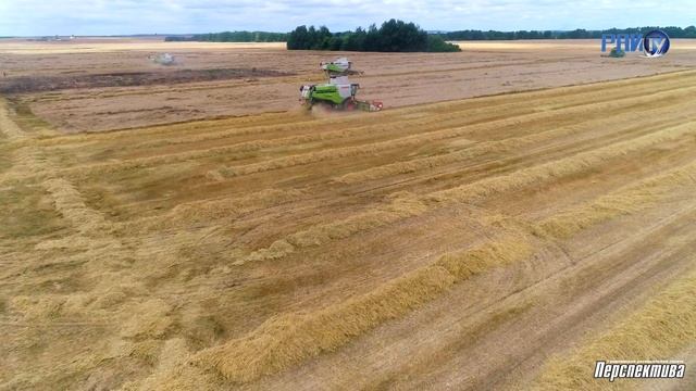 Гродненский район: главные события 2022 года смотреть онлайн