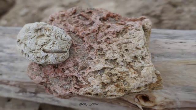 Камни Азовского моря_март 2024 смотреть онлайн