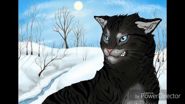 Коты - воители/ Белка/ Как царевну женили ( читать описание ) смотреть онлайн