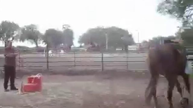 Aries training 03/01/2008 смотреть онлайн