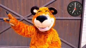 Настя как мама и рутинная Неделя с пупсиками