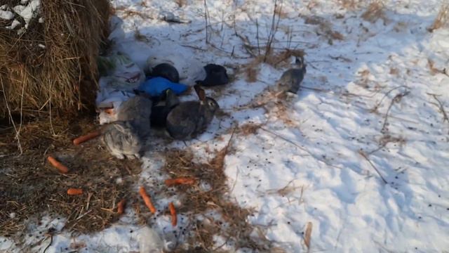 База отдыха Сюгеш