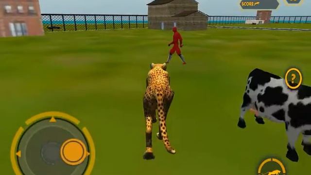 Wildlife Cheetah Attack Simulator 3D: Chase The Wild Animals: iOS Gameplay смотреть онлайн