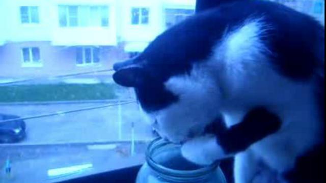 Жажда смотреть онлайн