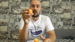 Как посадить персик из косточки. Заготовка косточек персика