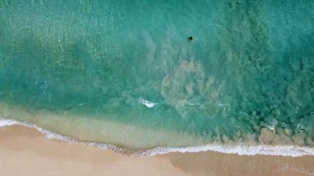 кредиты зло.Мнение №1 смотреть онлайн