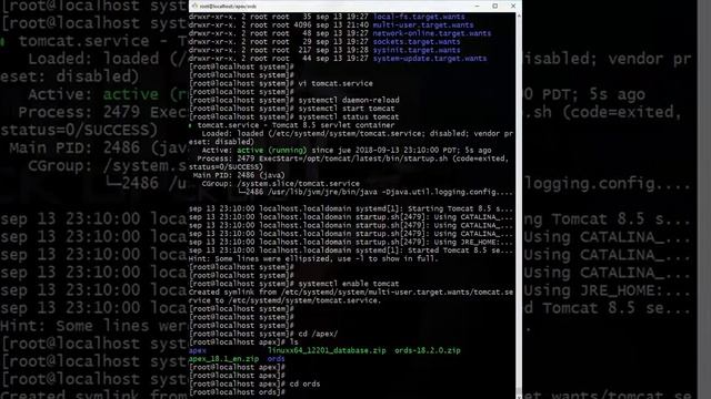 Video 3: Instalación Oracle APEX 18, Instalación de APEX ORDS Tomcat en Centos 7 смотреть онлайн
