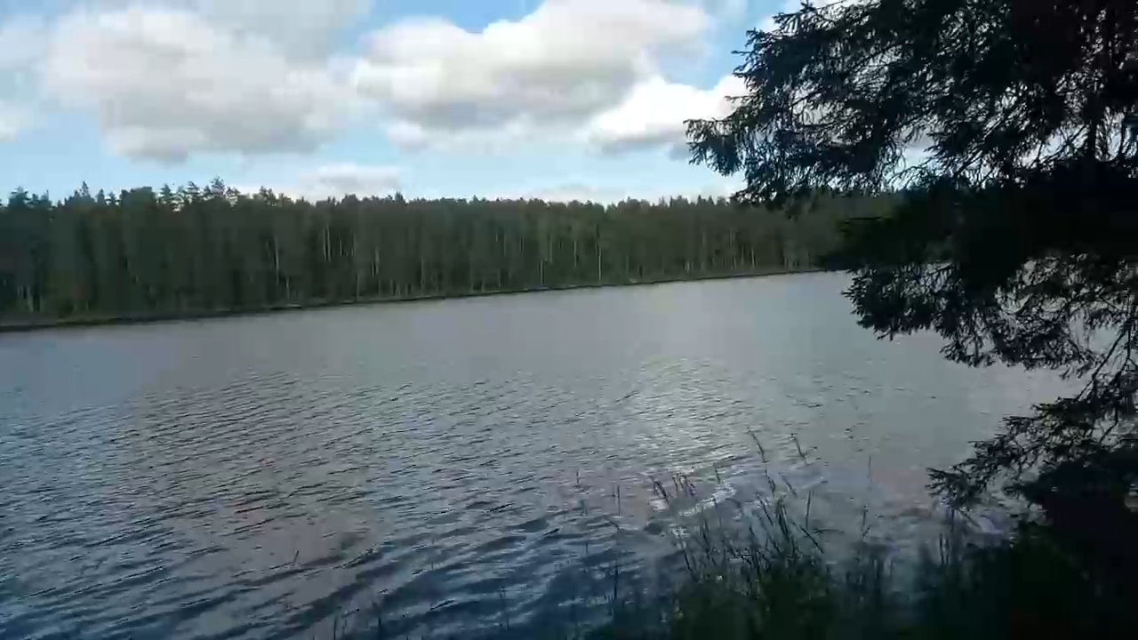 Установка катиски (верши) - Браконьерские петли. смотреть онлайн