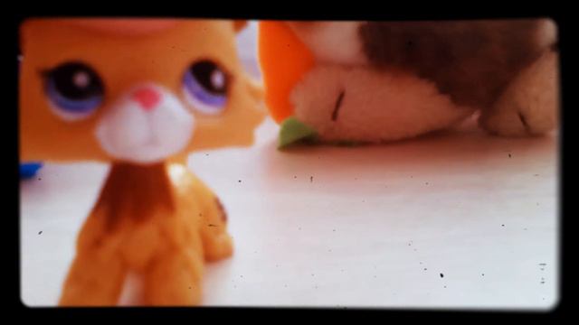 Мой колли мечты приехал! смотреть онлайн