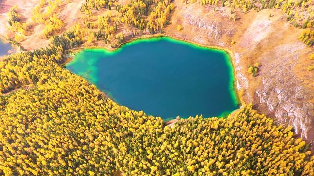 Россия Демонстрационное Видео12K HDR 60fps Dolby Vision смотреть онлайн