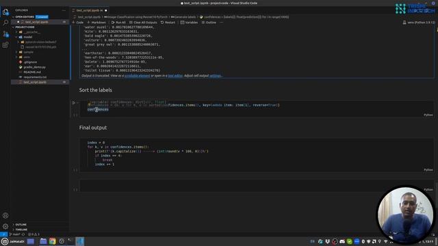 Image Classification with UI | End to End Image Classification example | PyTorch | Python смотреть онлайн