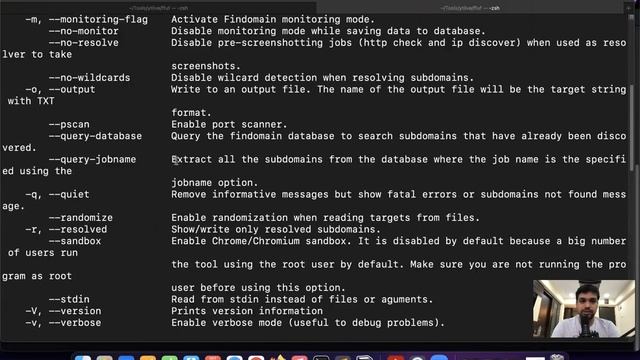 Subdomain Enumeration for Beginners - Active & Passive Enumeration смотреть онлайн