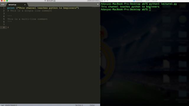 Programming in Python - L1: Basics смотреть онлайн