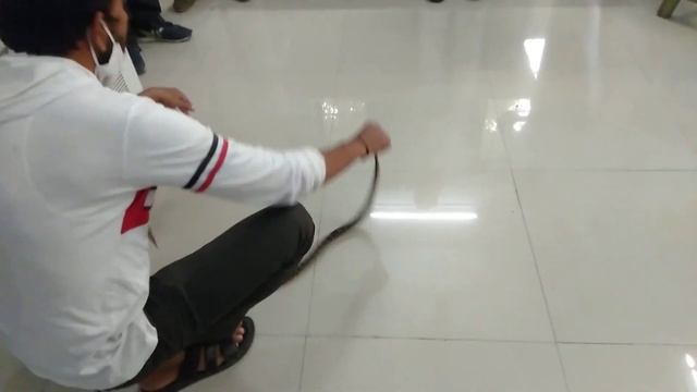 Hamare factory ke loading office me Mila Baby Indian Python rescue & realised in Forest.... смотреть онлайн