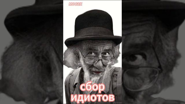 сбор идиотов смотреть онлайн