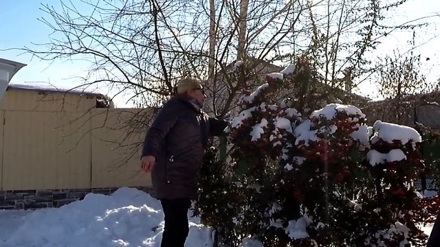 25 ч. ПЕРЕЕЗД НА ЮГ. Работа в Полтавской. Сколько стоит саман в Полтавской? смотреть онлайн