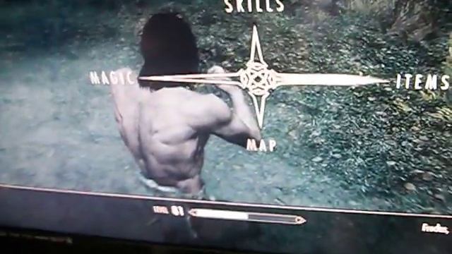 Skyrim Glitch?