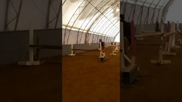 Ninja free jump jan 2017 смотреть онлайн