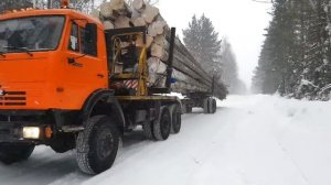 Хлыстовозы и тайга. Томская область, 2017 год.