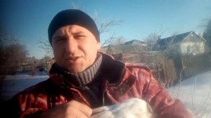 Кролики. Порода или помесь?