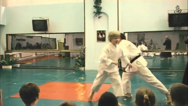 Семинар Дэвид Эйрз (8 дан) 2005 май. Красногорск. смотреть онлайн