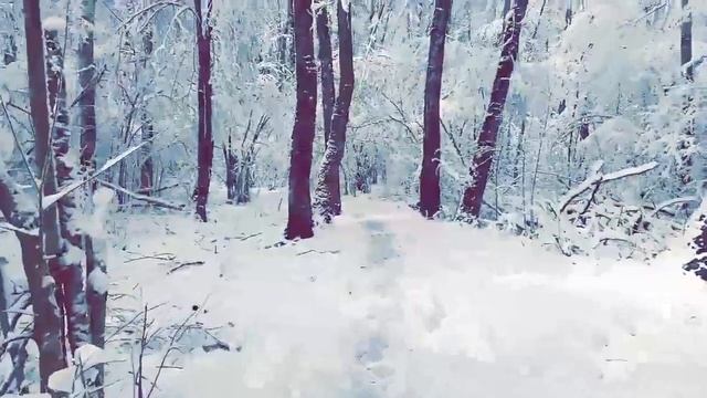 Последний снег - Март 2020 - Львовский лес, Толбино, Подольск, Посёлок Молодёжный (Звонкий - Голоса смотреть онлайн