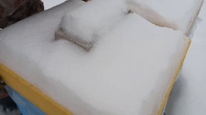 МОРОЗ --30 градусов Живы ЛИ ПЧЕЛЫ ? Зимовка ПЧЁЛ без УТЕПЛЕНИЯ на СЕТЧАТОМ ДНЕ в ульях ППС и ППУ !