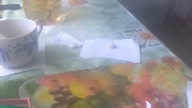 Яна супер чеснок и жвачка. Челандж